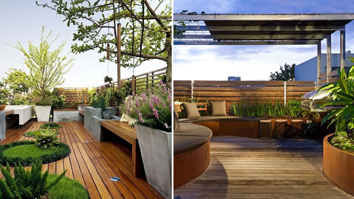 From Broken to Blooming: How I Rebuilt My Rooftop Garden and Found Joy Again