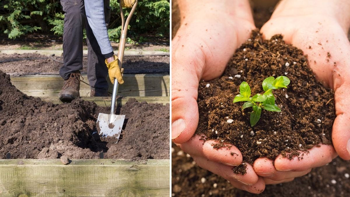 Rebirth of the Soil: How to Reuse Harvested Garden Soil for Healthier Future Crops