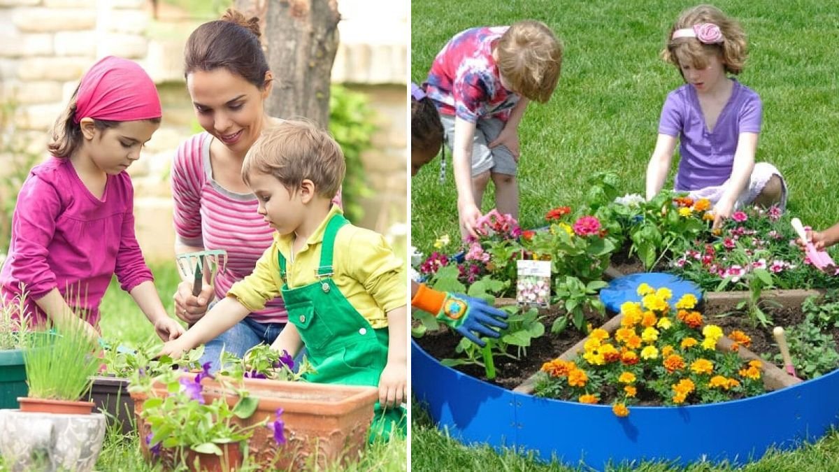 Amazing!! How to Transform Your Life, Garden, and Skills Step by Step