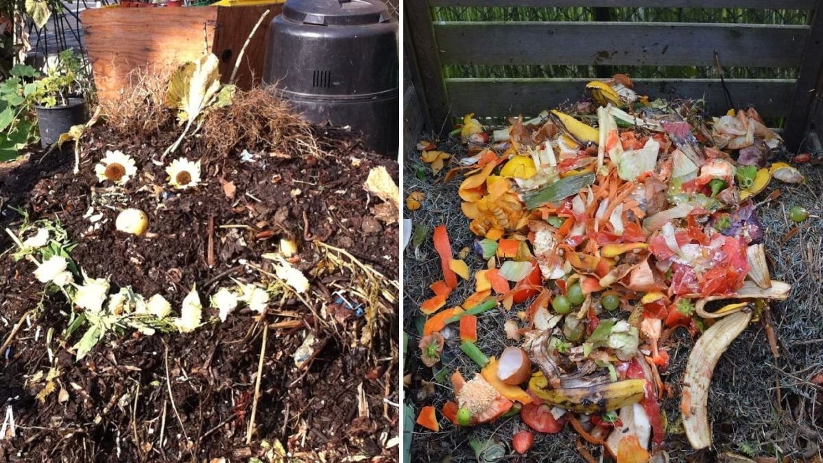 Step-by-Step Guide to Creating a Compost Bin for Healthier Soil and Sustainable Gardening
