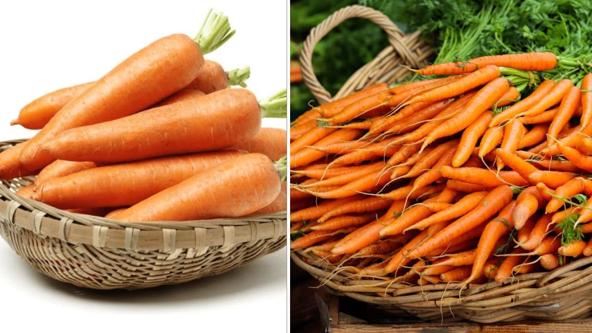 Got an Old Plastic Basket? Grow Carrots This Way for Clean, Straight Harvests