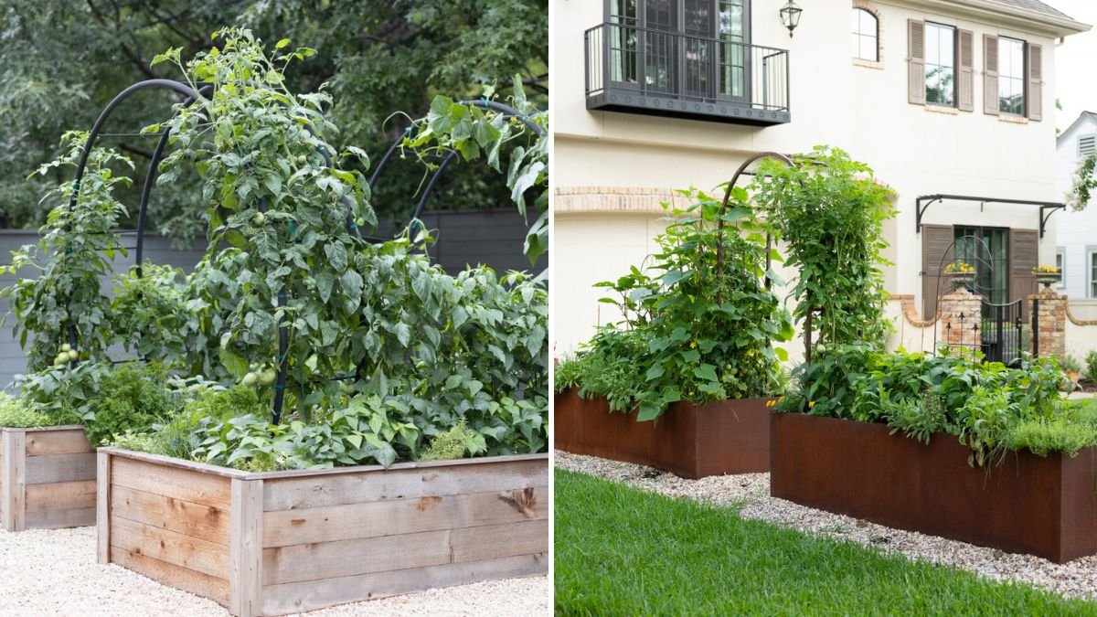 How to Create a Raised Bed to Grow Your Plants Easily for Better Soil and Bigger Harvests