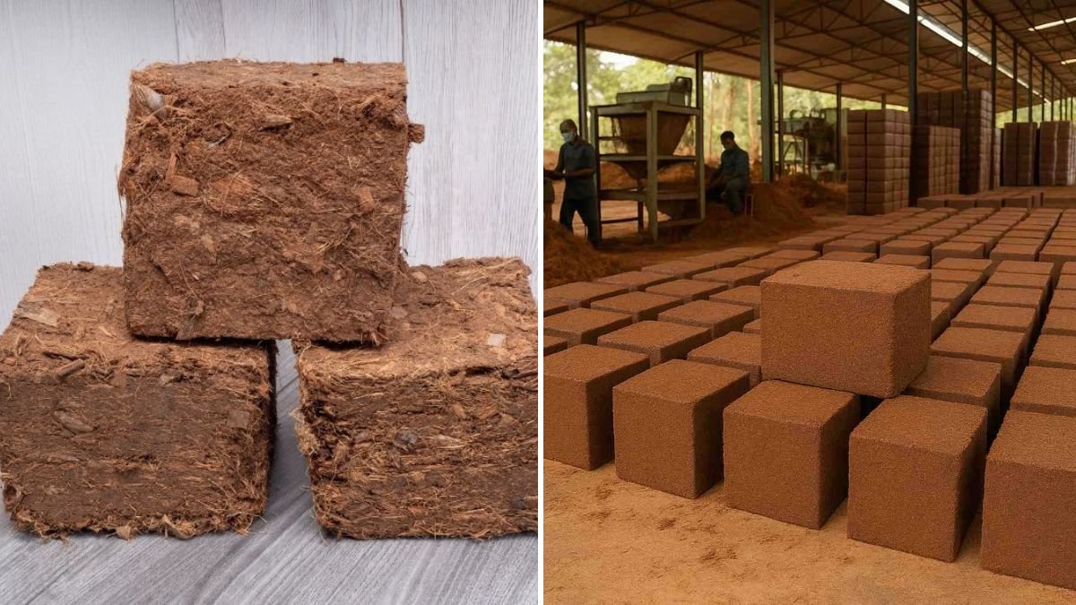 Coir Brick Explained: The Complete Guide to Using Coir Bricks for Healthy Plants