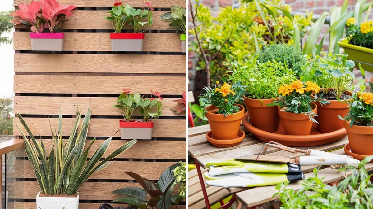 How to Create a Suspended Garden System for Maximum Space and Stunning Growth