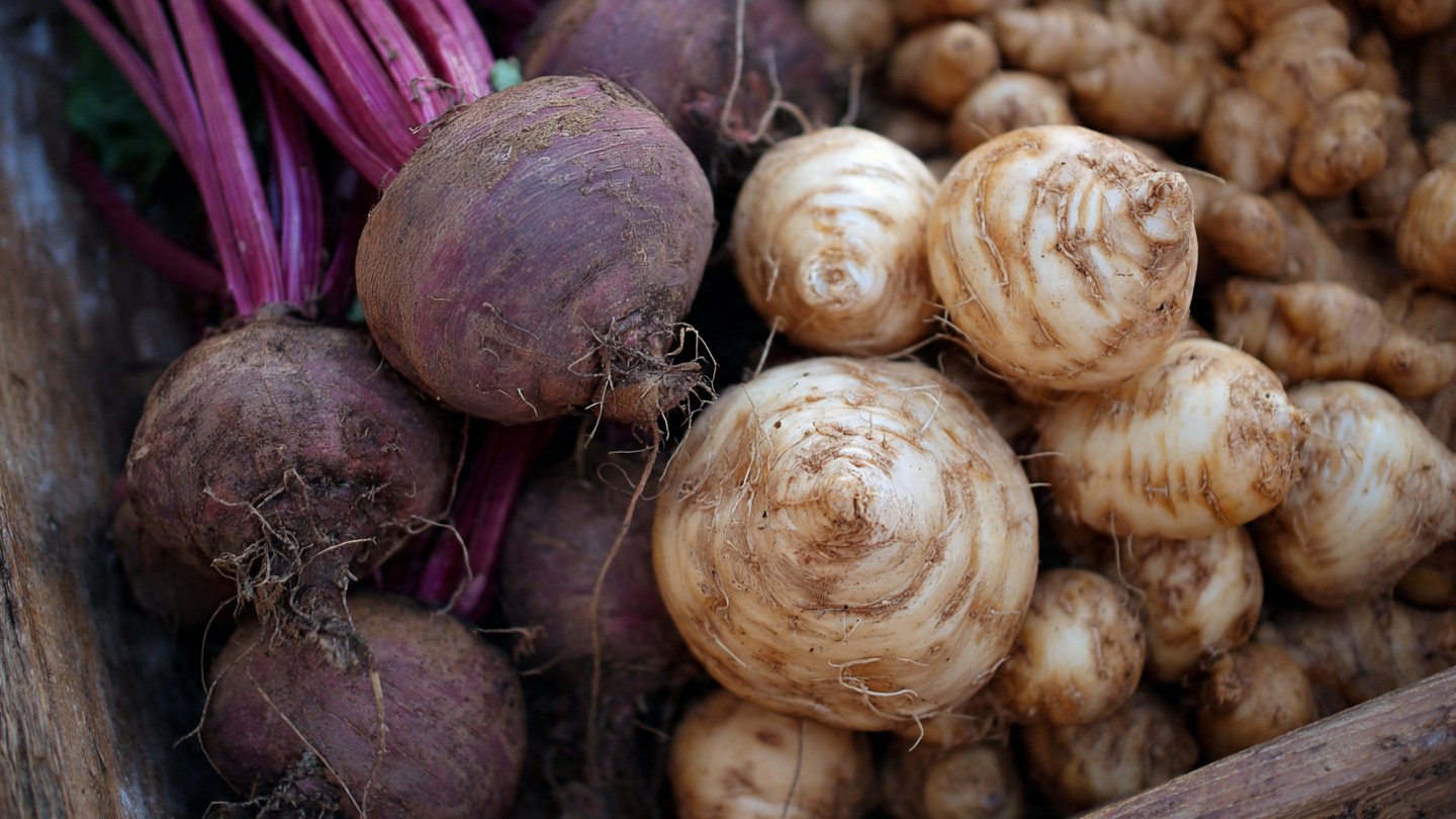 Understanding Factors Leading to Small Growth in Root Crops