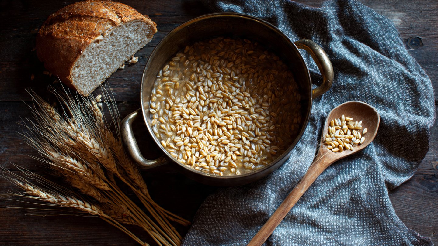 How to Grow Barley at Home for Hearty Winter Soups