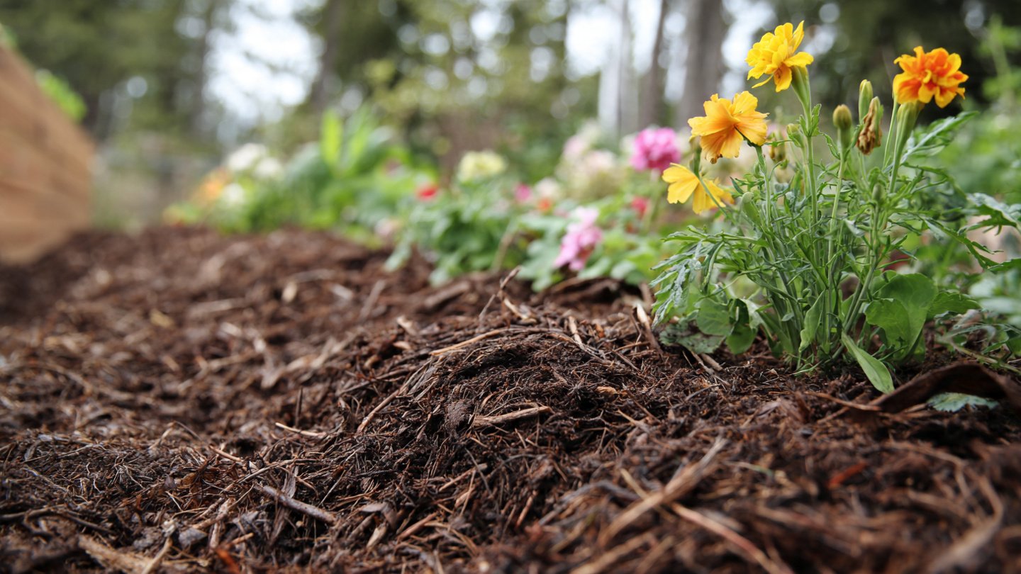 Importance of Regularly Turning Compost for Optimal Results