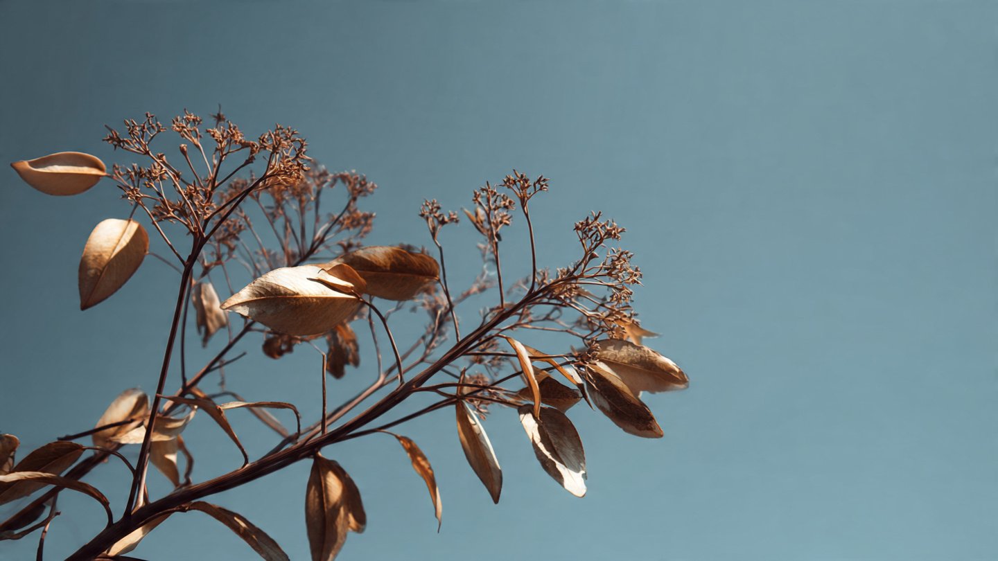 Understanding Why Plants Wilt During Hot Afternoon Hours